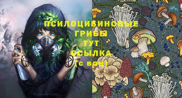мяу мяу кристалл Верея
