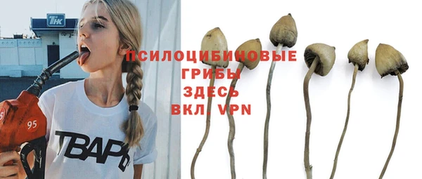 МДПВ Верхнеуральск