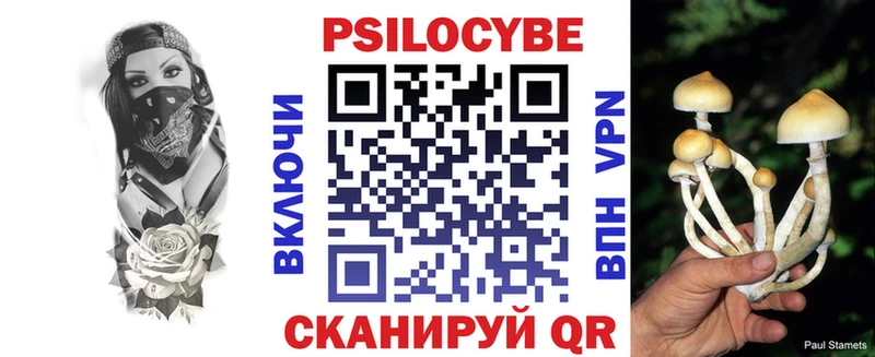 Псилоцибиновые грибы Psilocybine cubensis  сколько стоит  Чита 